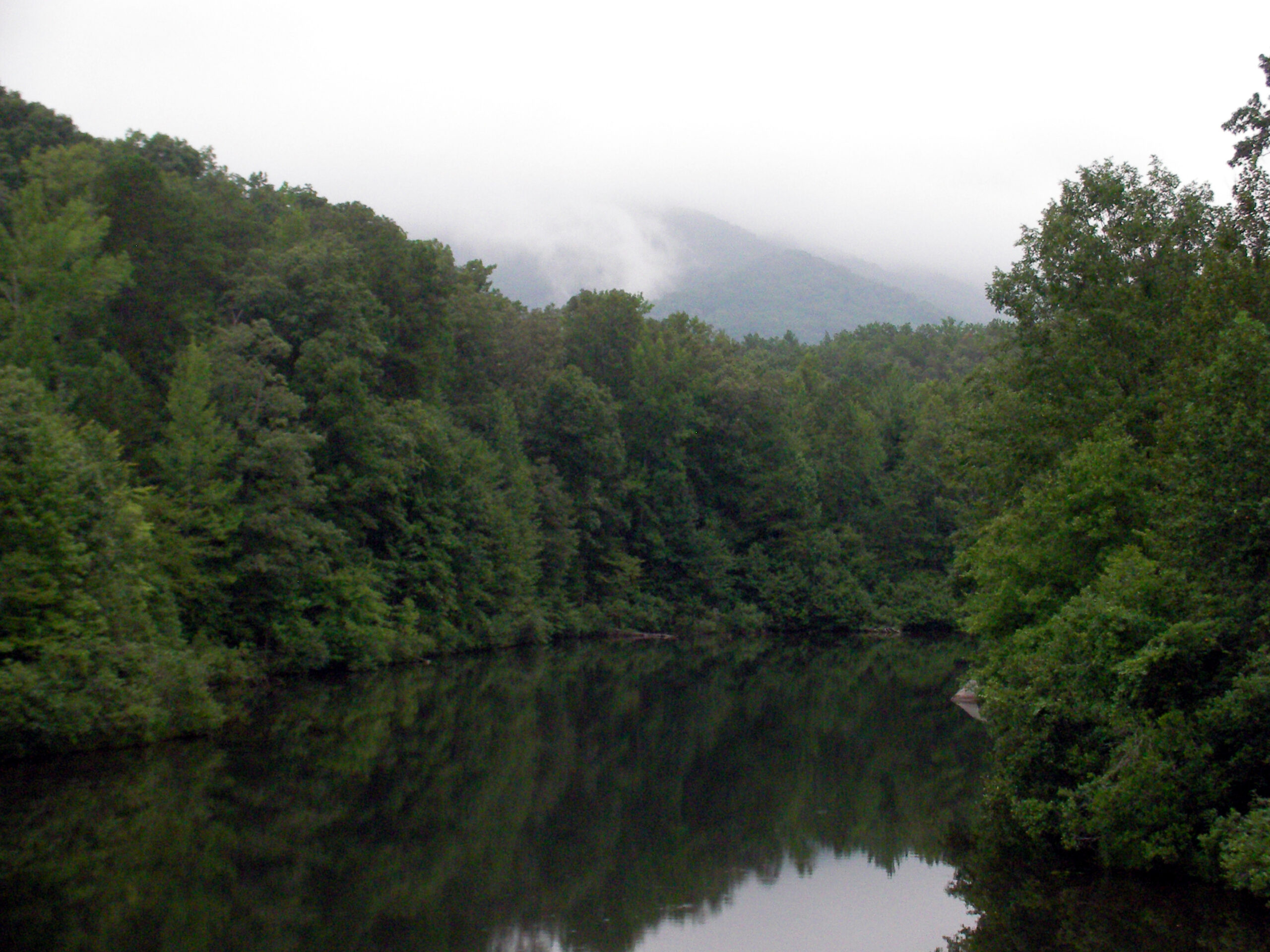 appalachian druidry