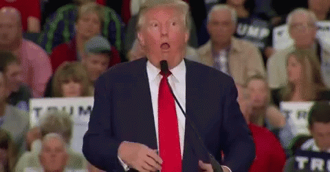 MAGA Trump mocking the handicapped