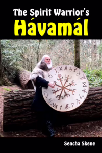 Book The Spirit Warrior's Havamal